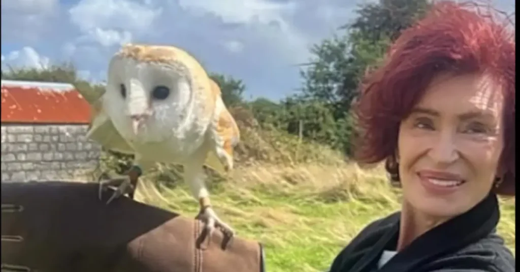 Sharon Osbourne Cornwall Falconry in England.